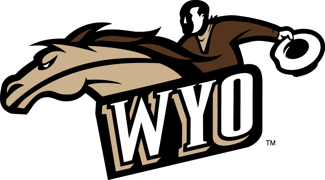 Wyoming Cowboys 1997-2006 Alternate Logo diy DTF decal sticker